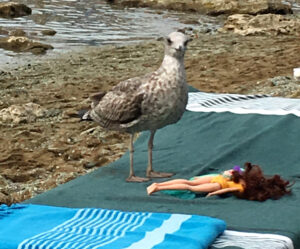 Gabbiano e bambolina su telo da mare