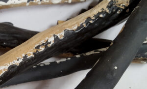 Legnetti parzialmente ricoperti con gesso a oro e bolo nero