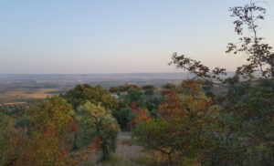 Panorama campagna